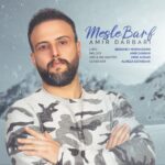 دانلود آهنگ امیر درباری مثل برف